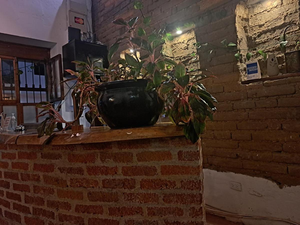 卡利 Terraza De San Antonio酒店 外观 照片